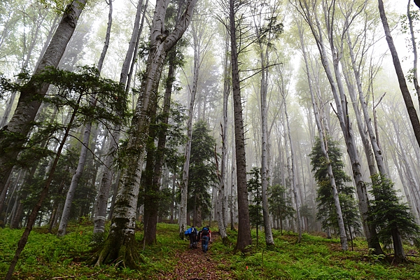 SoilForEUROPE. Sampling in forest, Romania. Photo: J. Wambsganss